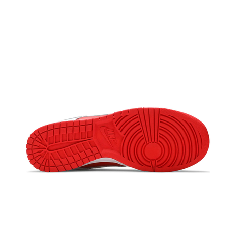 Nike Red Champion Dunk
